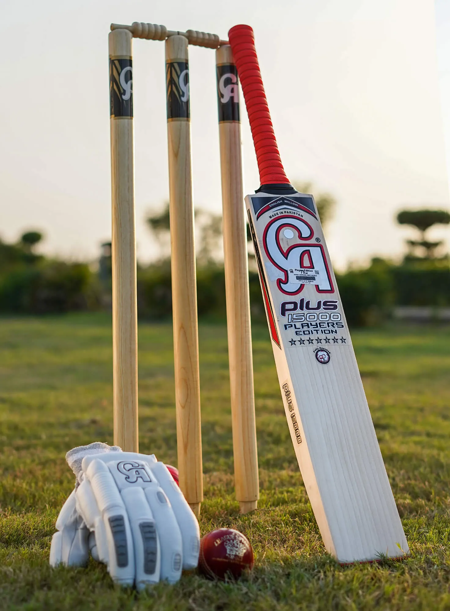 CA Cricket Bat Plus 15000 Players Edition 7 Stars 2024 Model